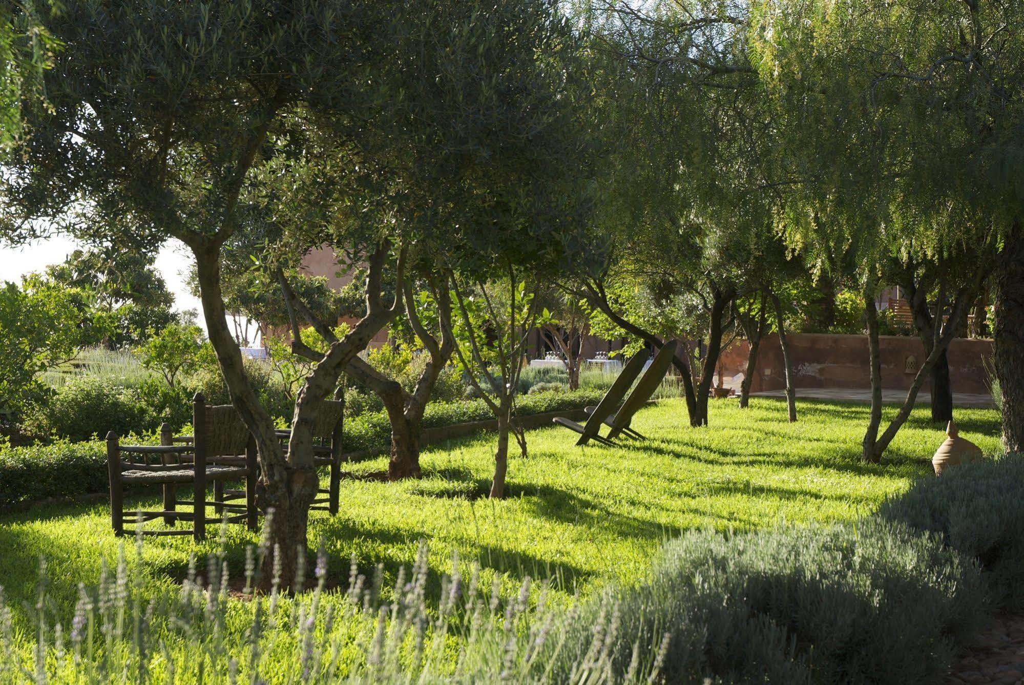Kasbah Bab Ourika Ξενοδοχείο Εξωτερικό φωτογραφία